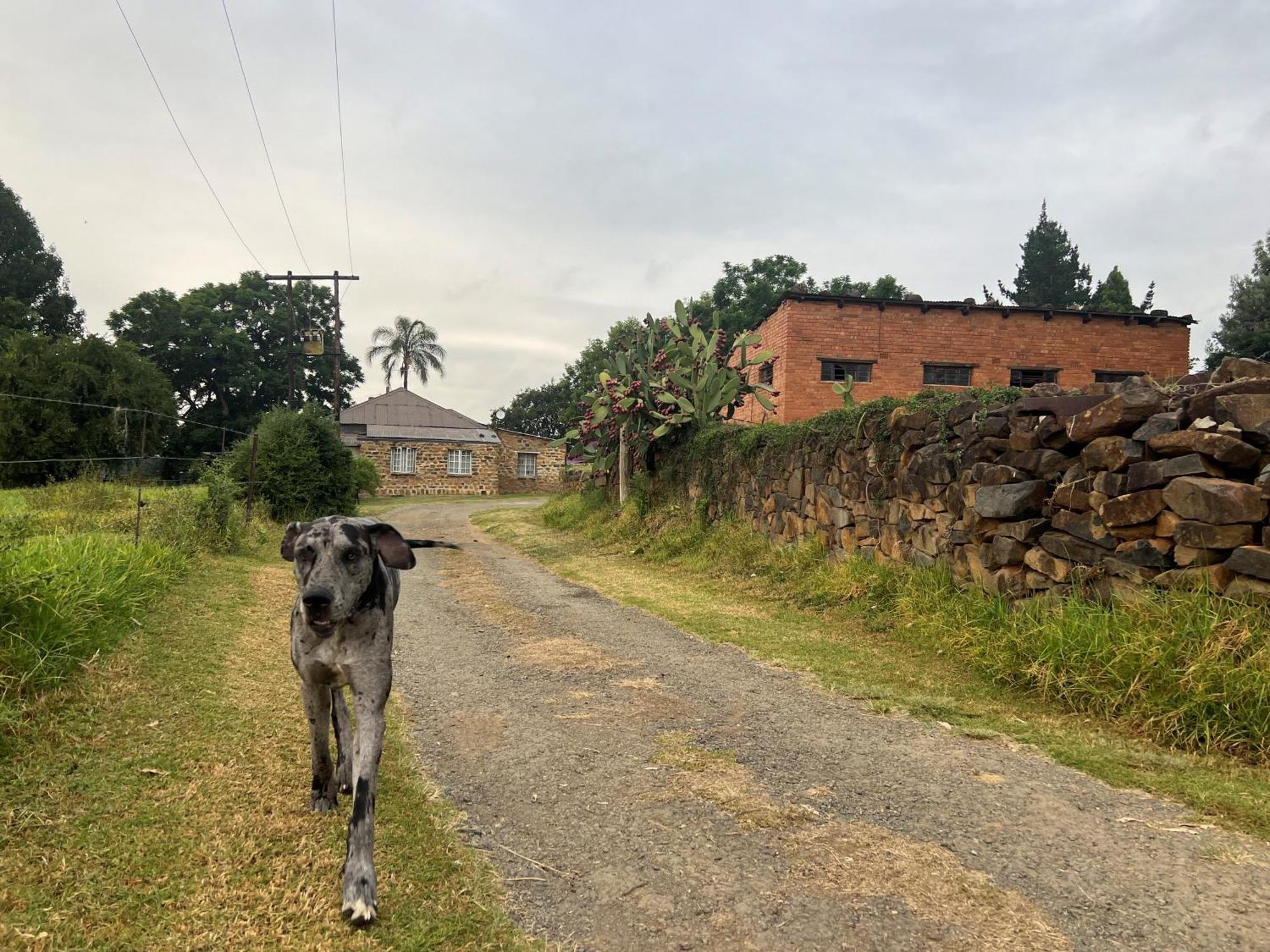 Villa Wyford Farm Van Reenen Esterno foto