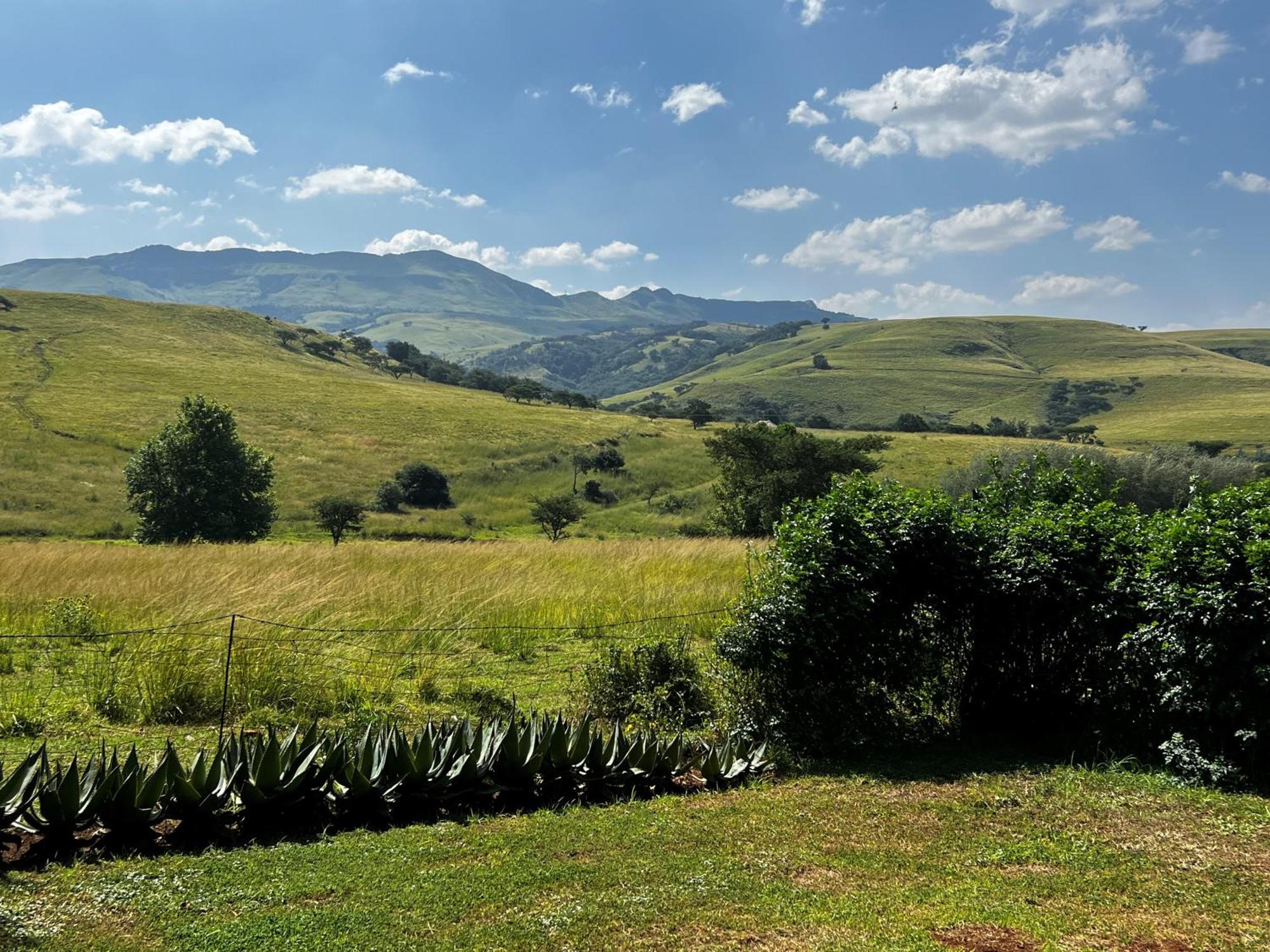 Villa Wyford Farm Van Reenen Esterno foto